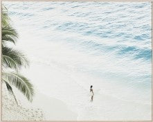 Coastal Collection  - WBIS