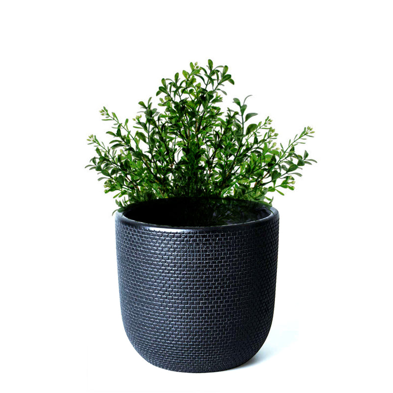 Pot with  Plant - Black