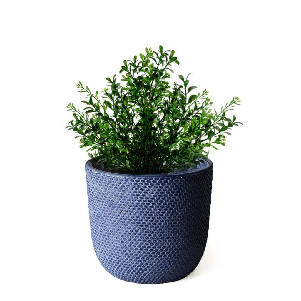 Pot with  Plant - Navy